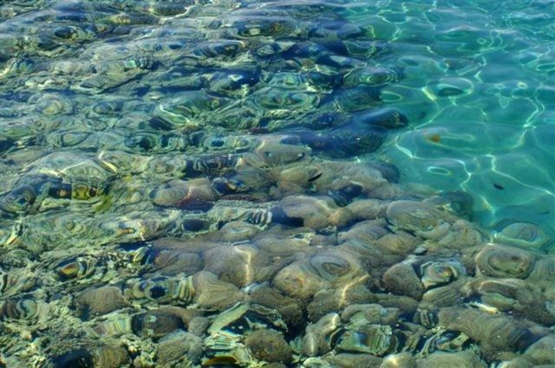 Riff Cleopatra Luxury Resort Makadi Bay