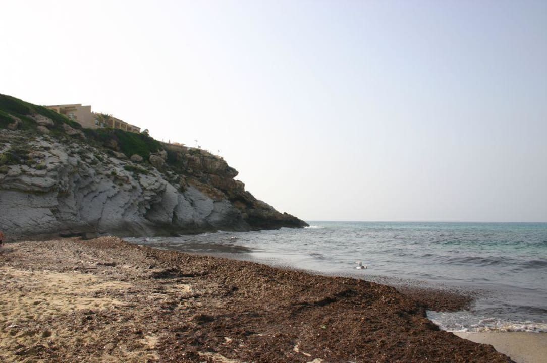 Strand bei Tag VIVA Cala Mesquida Suites & Spa 16+