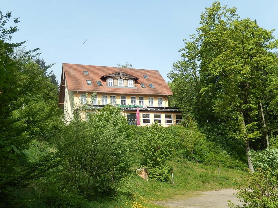 Direkt im Wald Waldseehotel Frenz