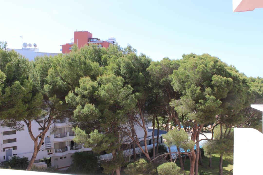 Ausblick Pabisa Sofia