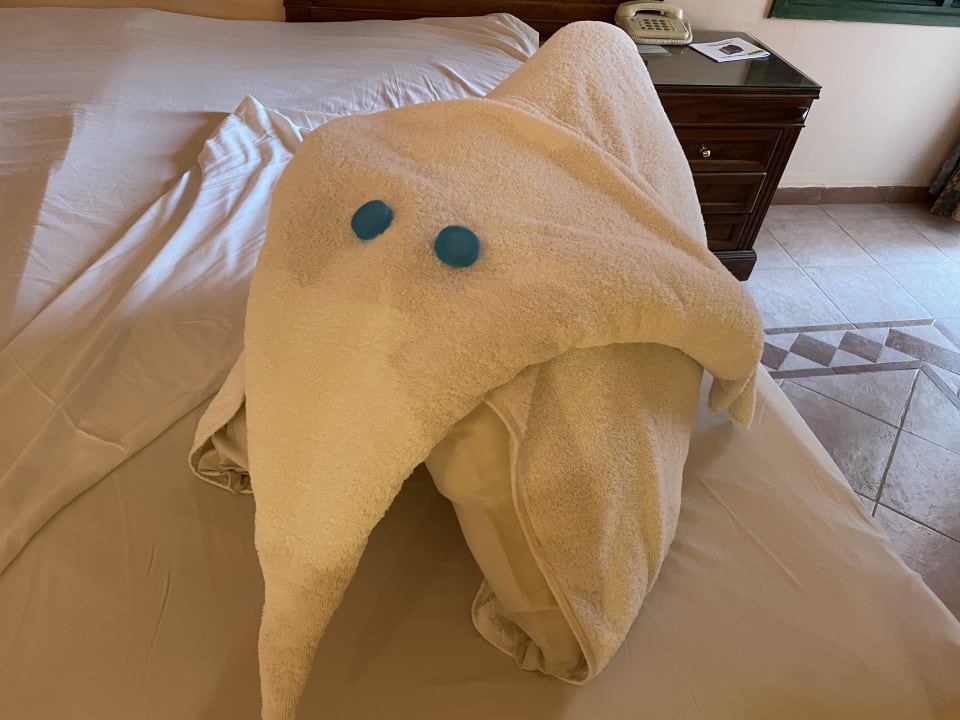 Zimmer Shams Alam Beach Resort