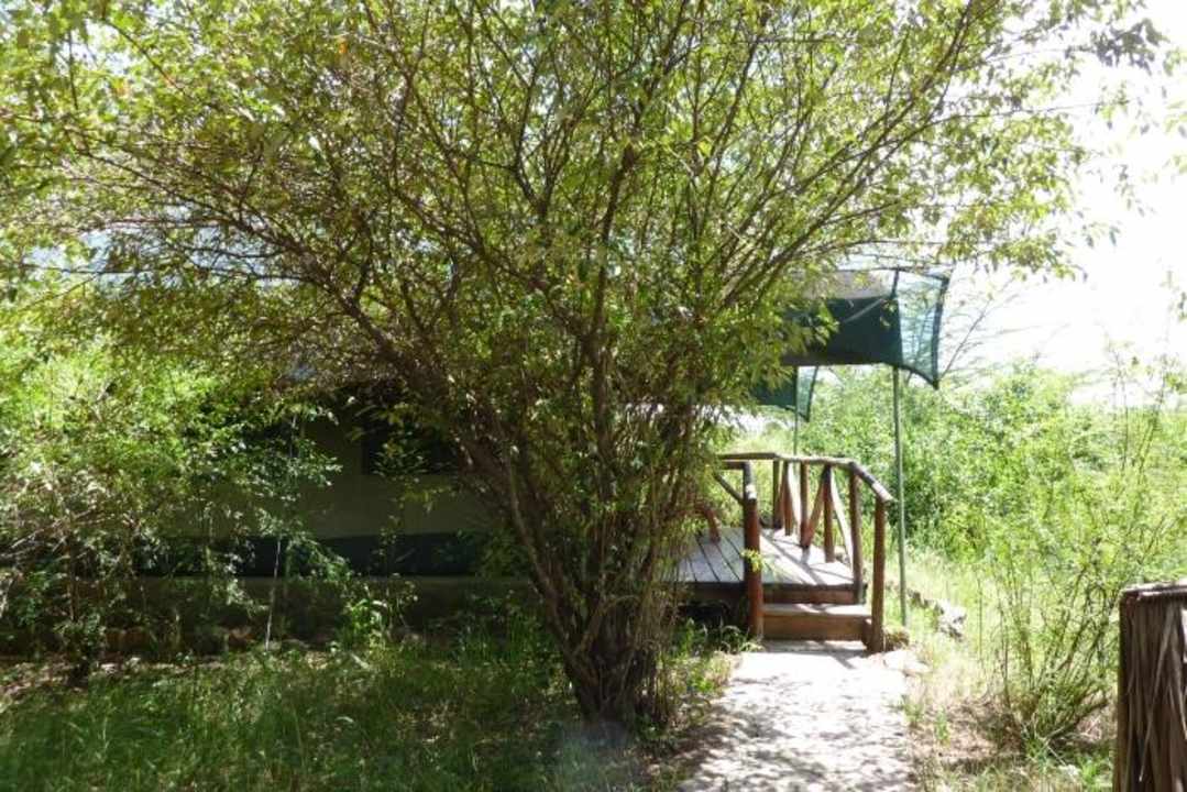 Weg zum Elephant Tent Aruba-Mara Camp