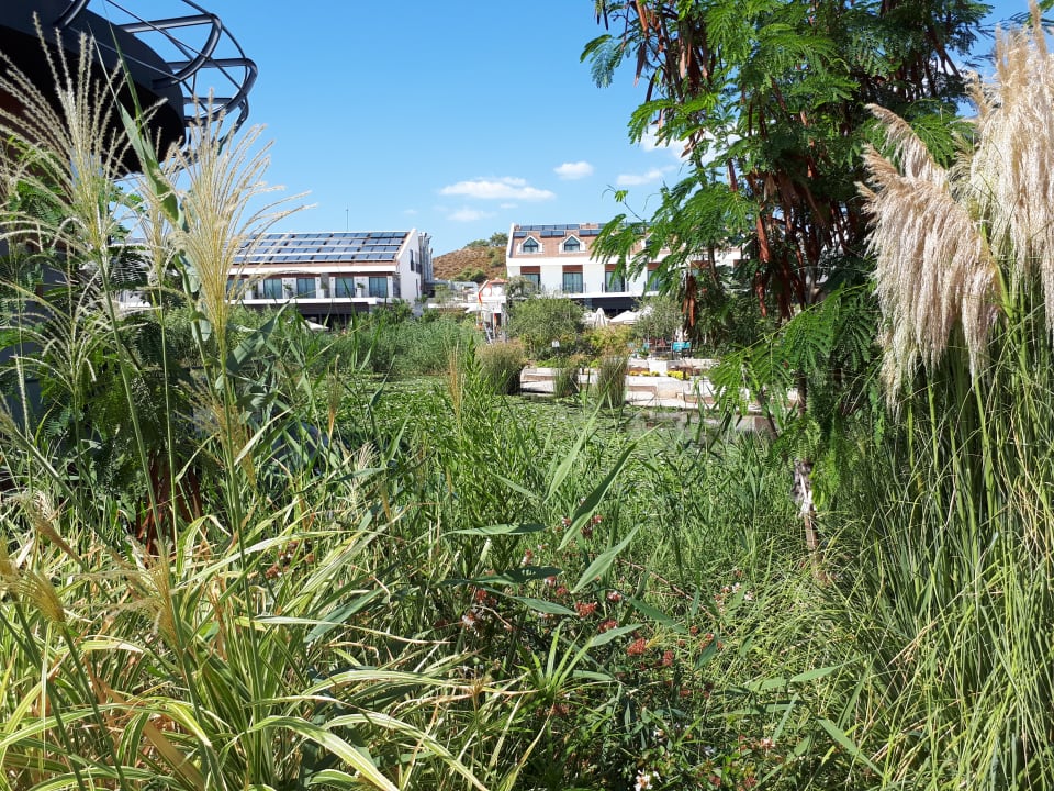 Garten Jiva Beach Resort