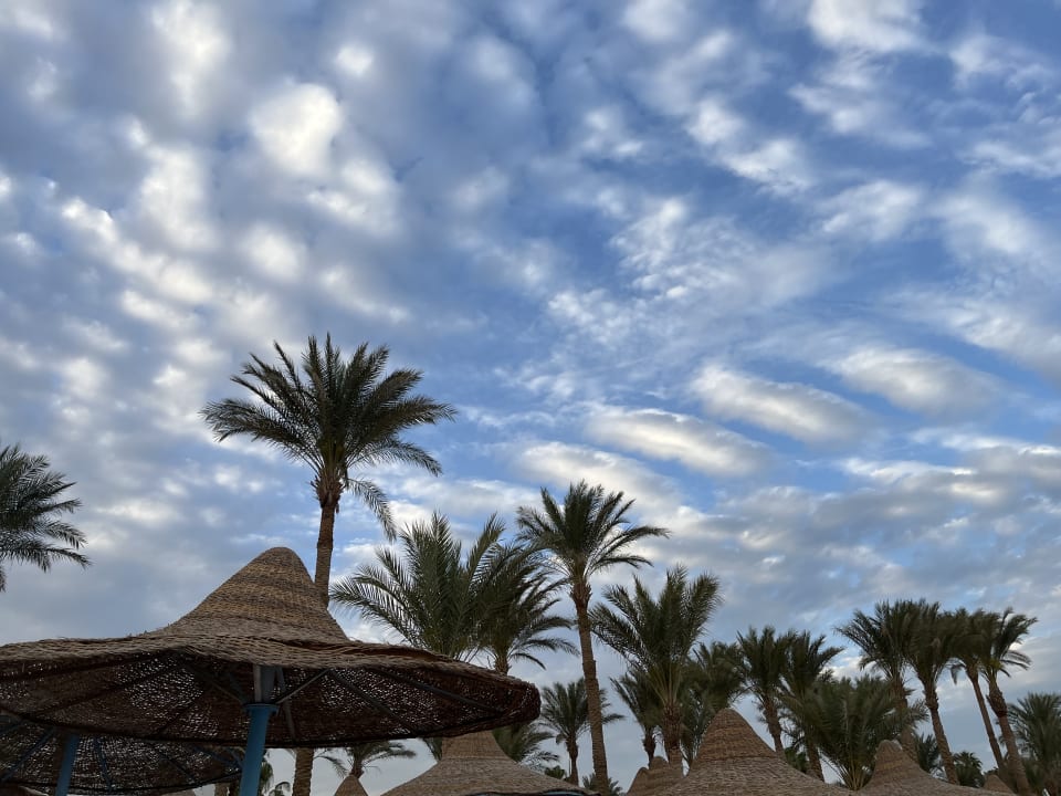 Außenansicht Marlin Inn Azur Resort