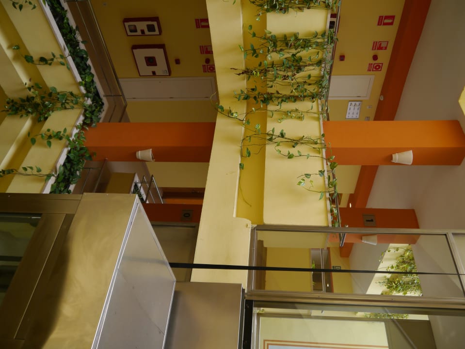 Treppenhaus  Grupotel Natura Playa