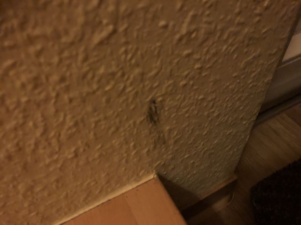 Zimmer Center Parcs Park Bostalsee