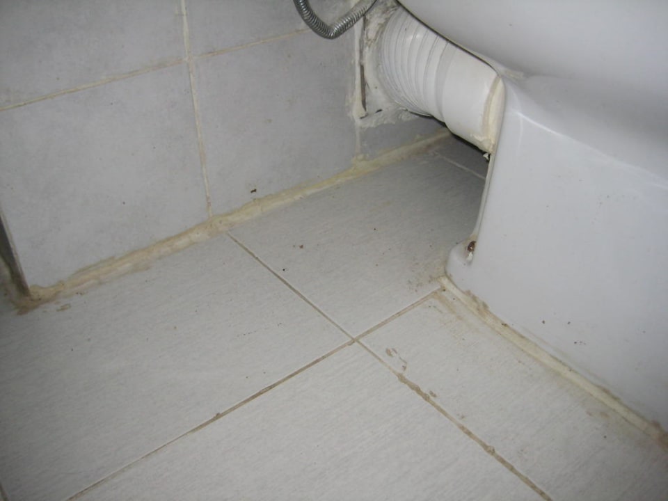 Bad/Toilette Sea Star Beau Rivage