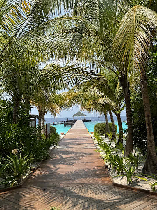 Gartenanlage Adaaran Select Meedhupparu Island Resort - Premium All Inclusive