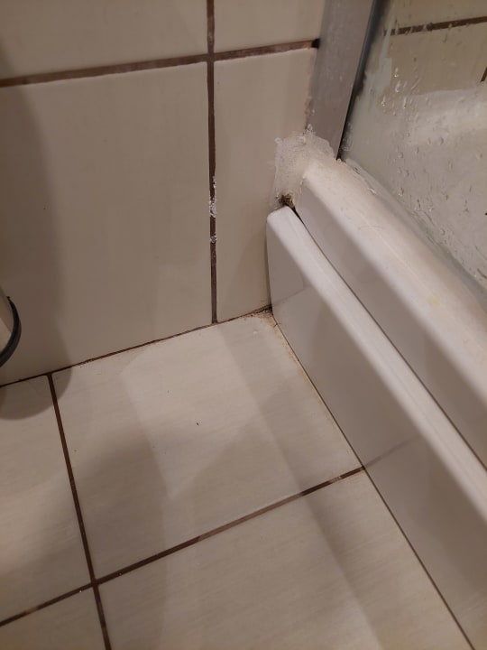 Zimmer Asteria Family Belek