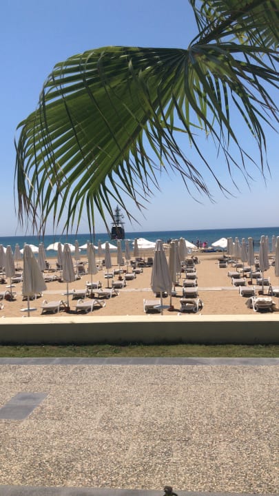 Strand PALOMA Perissia