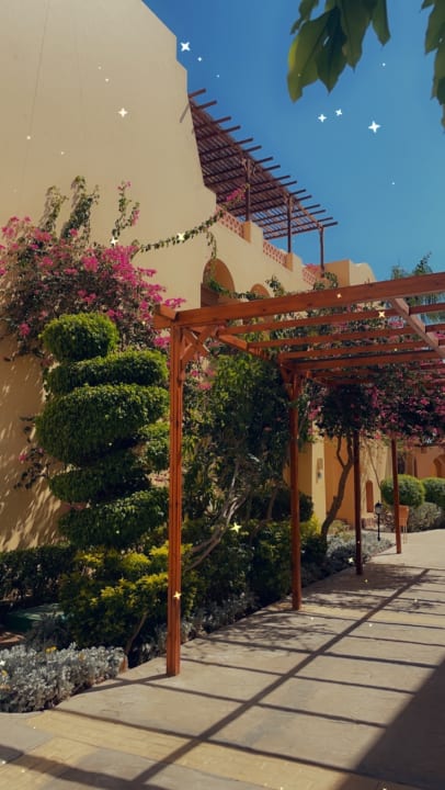 Gartenanlage Steigenberger Coraya Beach - Adults only