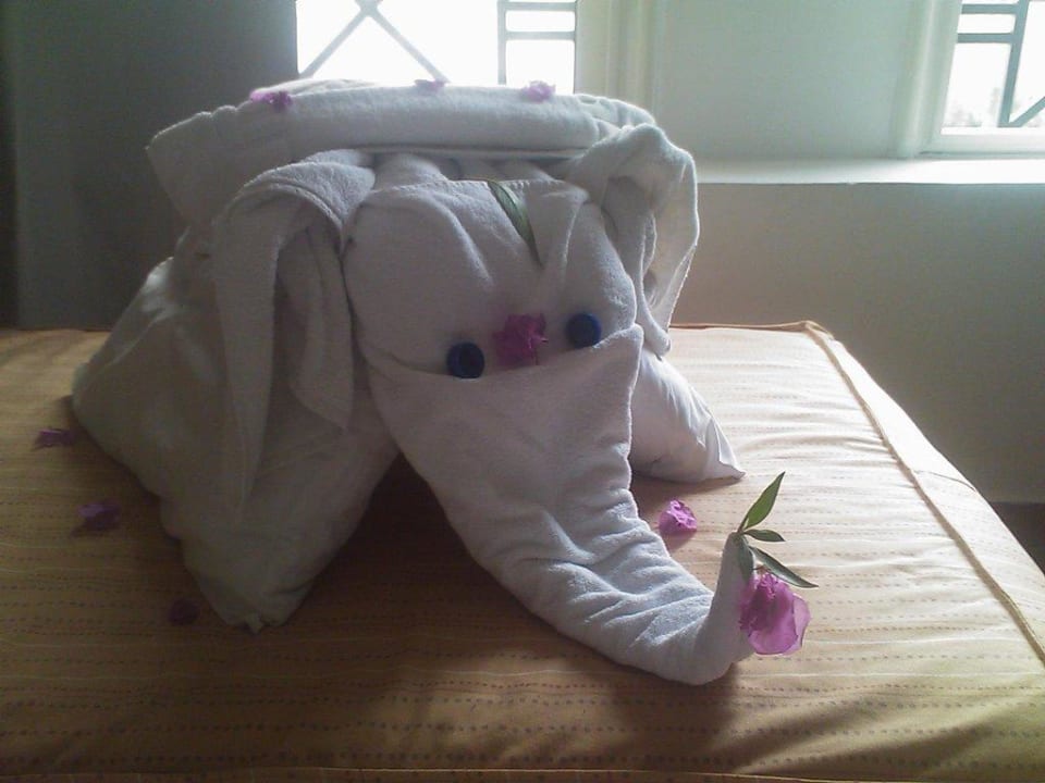 Elefant Hotel Falcon Naama Star