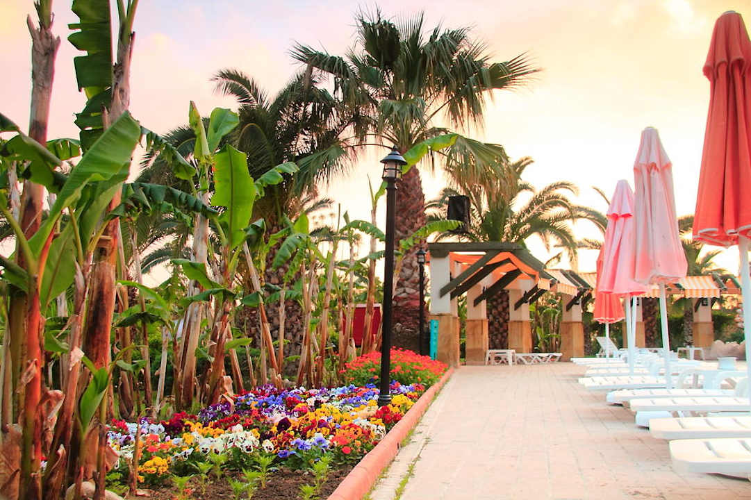 Blumen Washington Resort & SPA