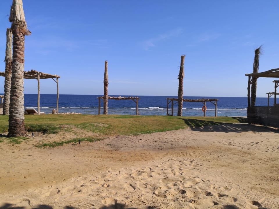 Strand Steigenberger Resort Alaya Marsa Alam - Red Sea - Adults only