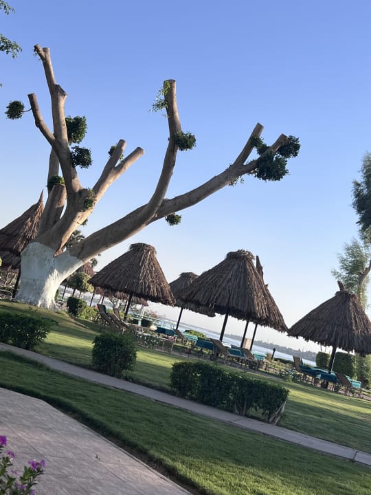 Gartenanlage Jolie Ville Kings Island Luxor