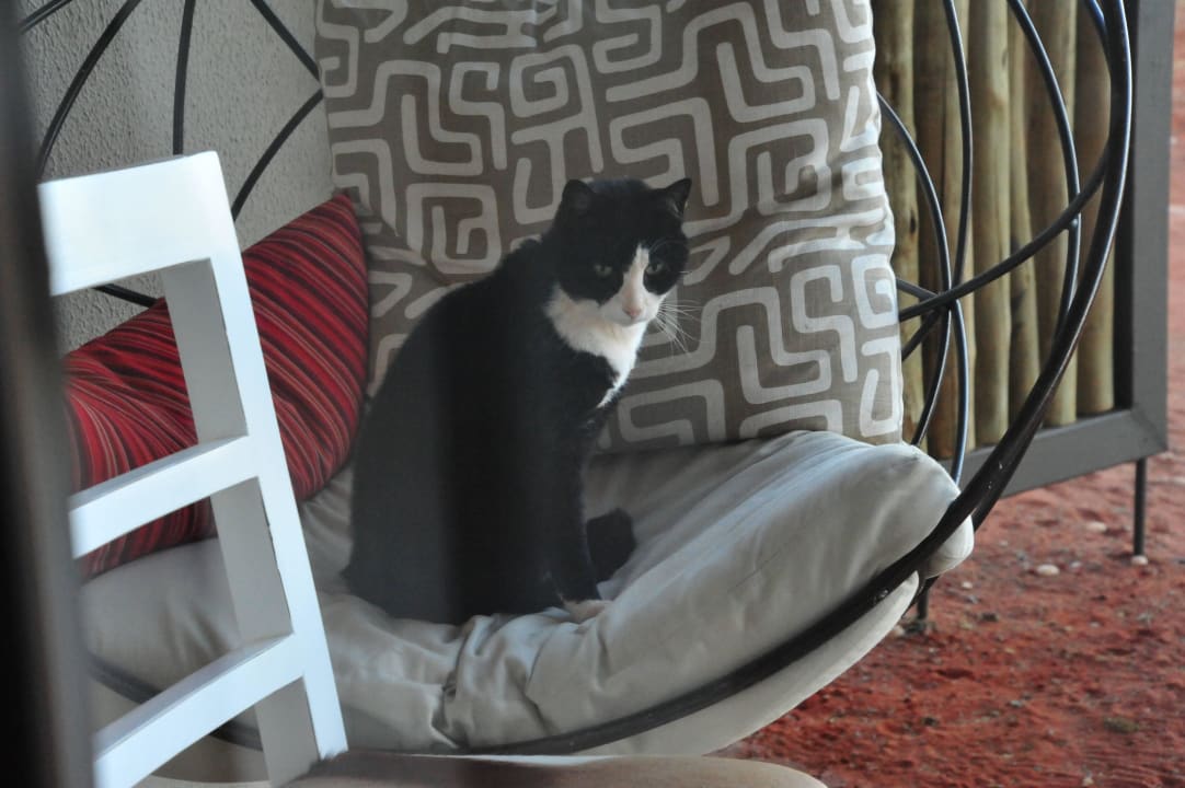 Keine Chance Kalahari Anib Lodge