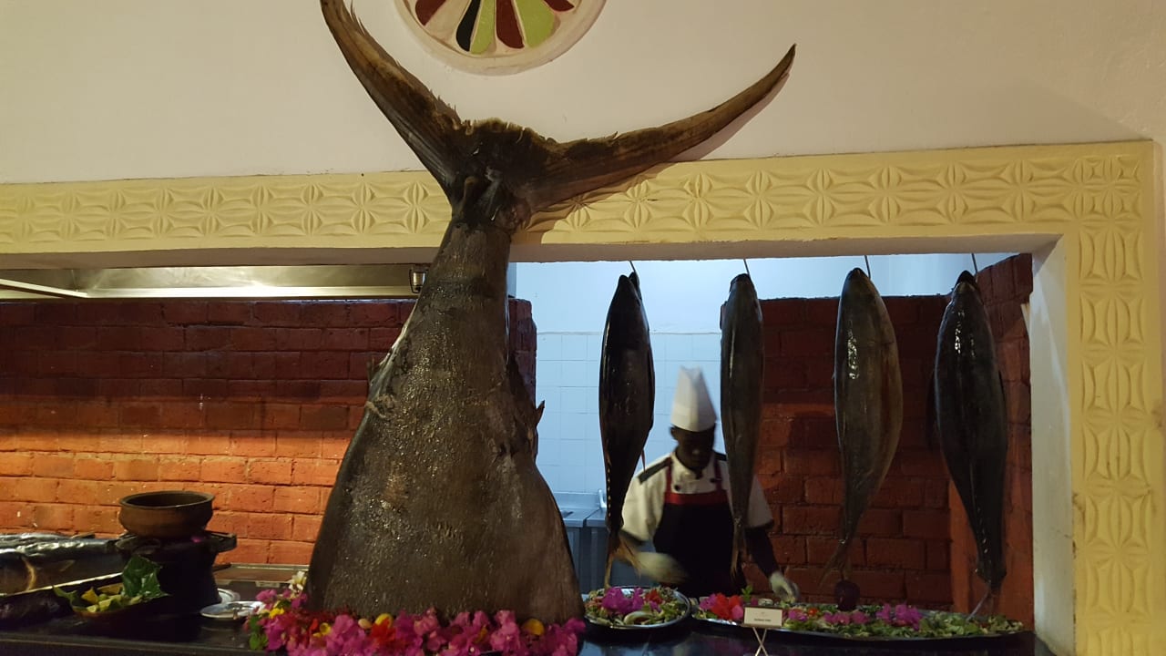 Gastro Hotel Kiwengwa Beach Resort