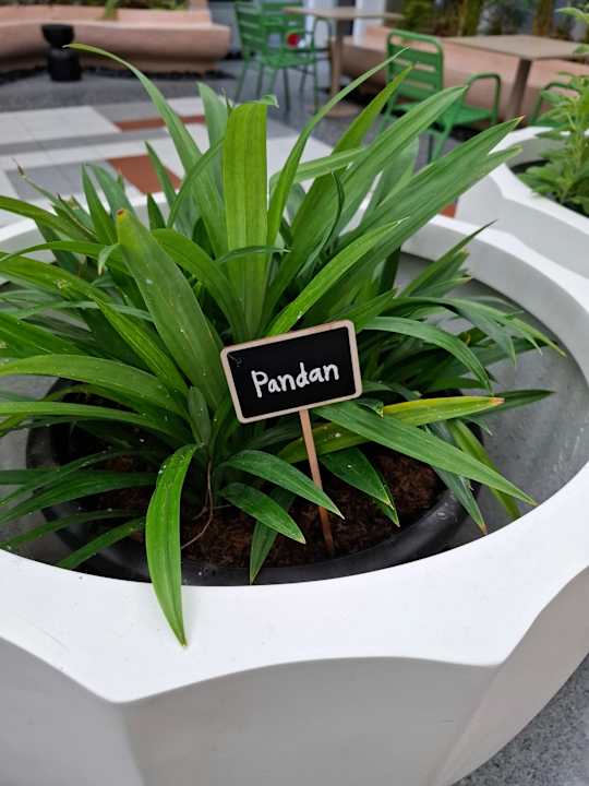 Gastro ASAI Bangkok Chinatown