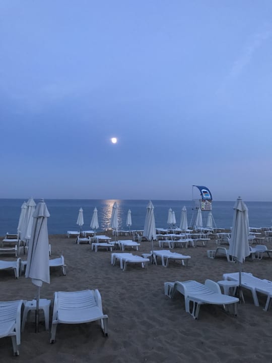 Strand Sentido Marea