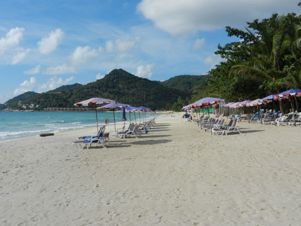 Genügend Platz für alle The Fair House Beach Resort