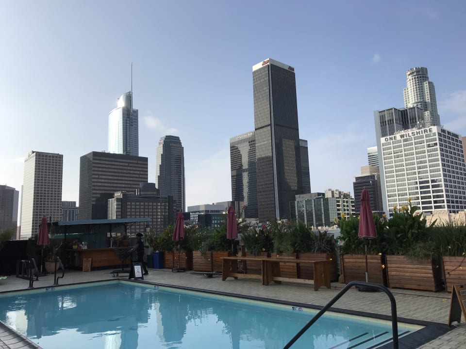 Pool Freehand Los Angeles