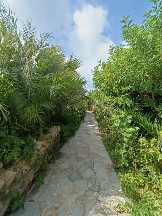 Gartenanlage Hotel South Coast