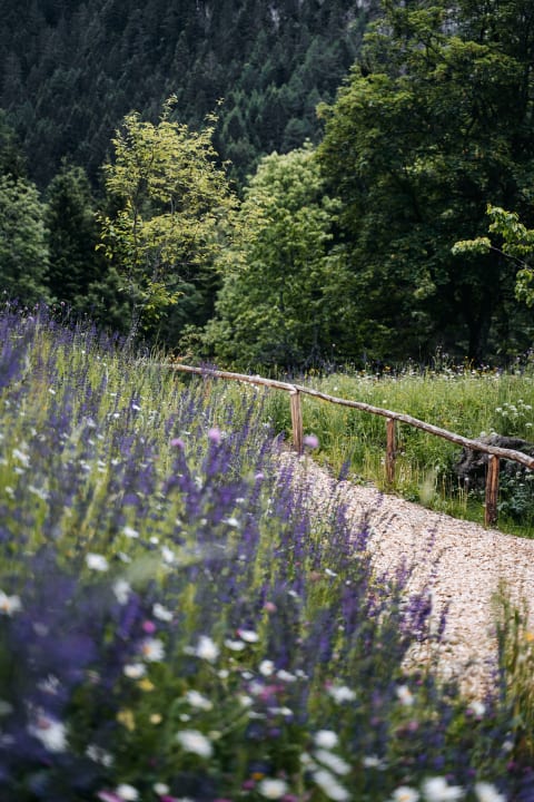 Gartenanlage Bad Ratzes