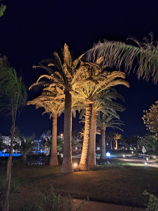 Gartenanlage Anissa Beach & Village