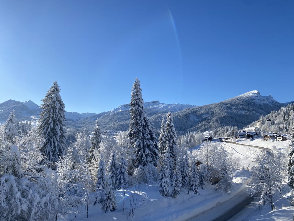 Ausblick Ferienwohnungen Haus Waidmannsheil