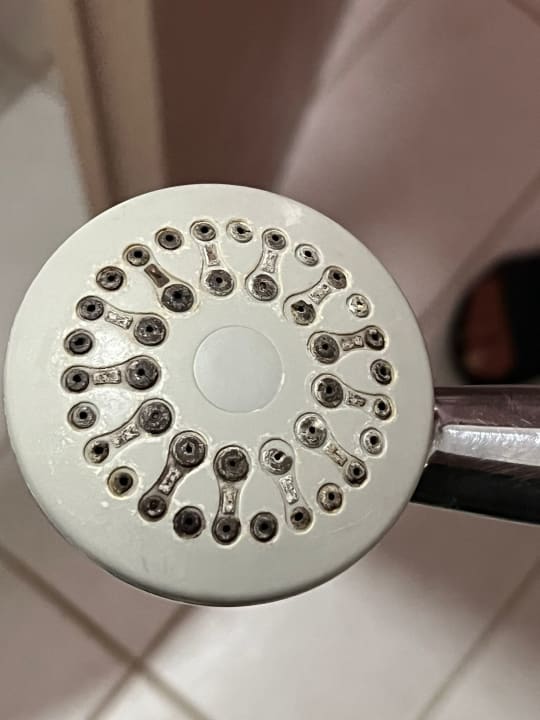 Zimmer Gaia Garden Hotel