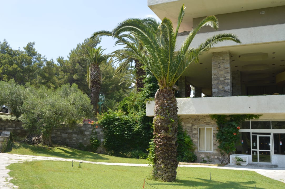 Alejki Hotel Athos Palace