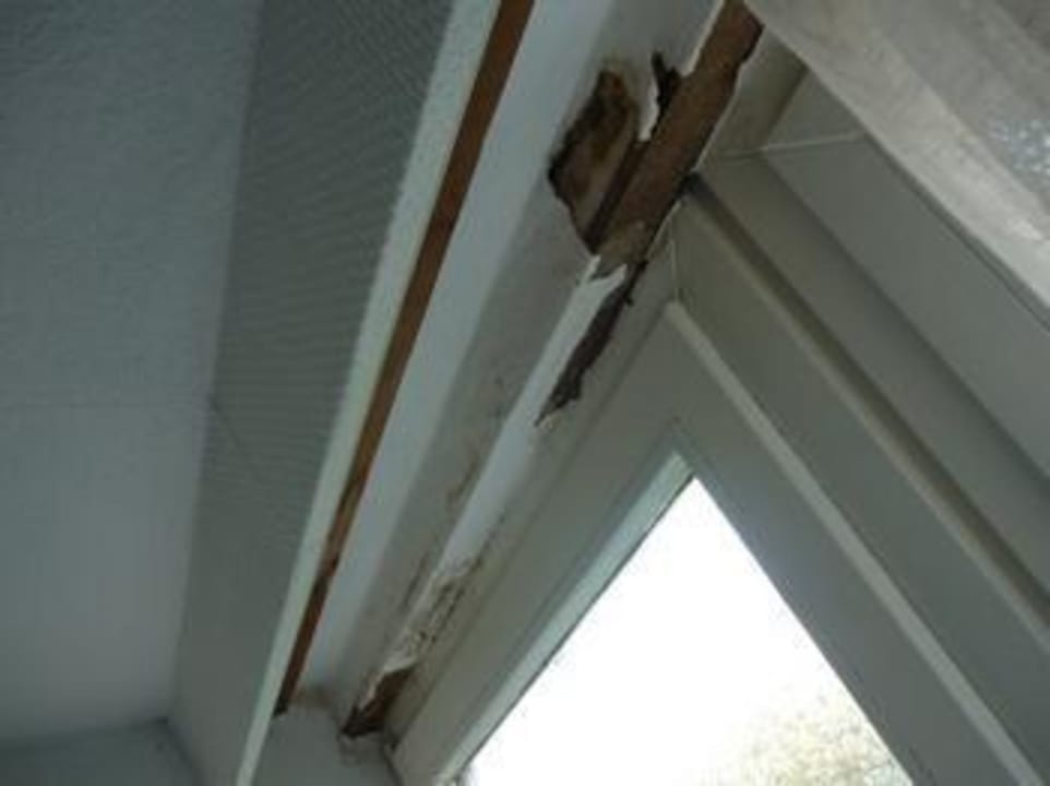 Wohnraumfenster Hotel Reetdachhaus Gräftendiek Drei