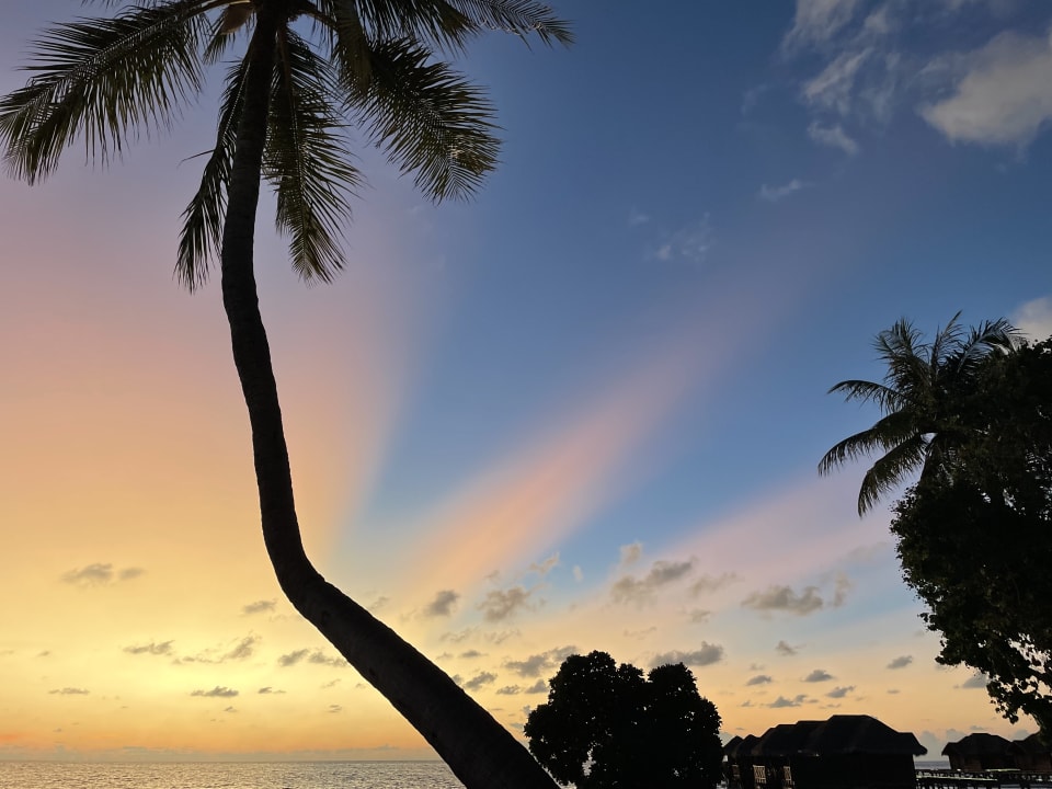 Ausblick Fihalhohi Maldives