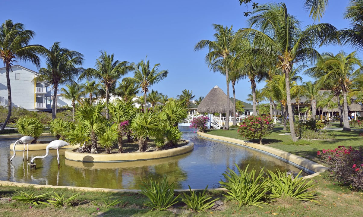 Gartenanlage Hotel Cayo Largo del Sol