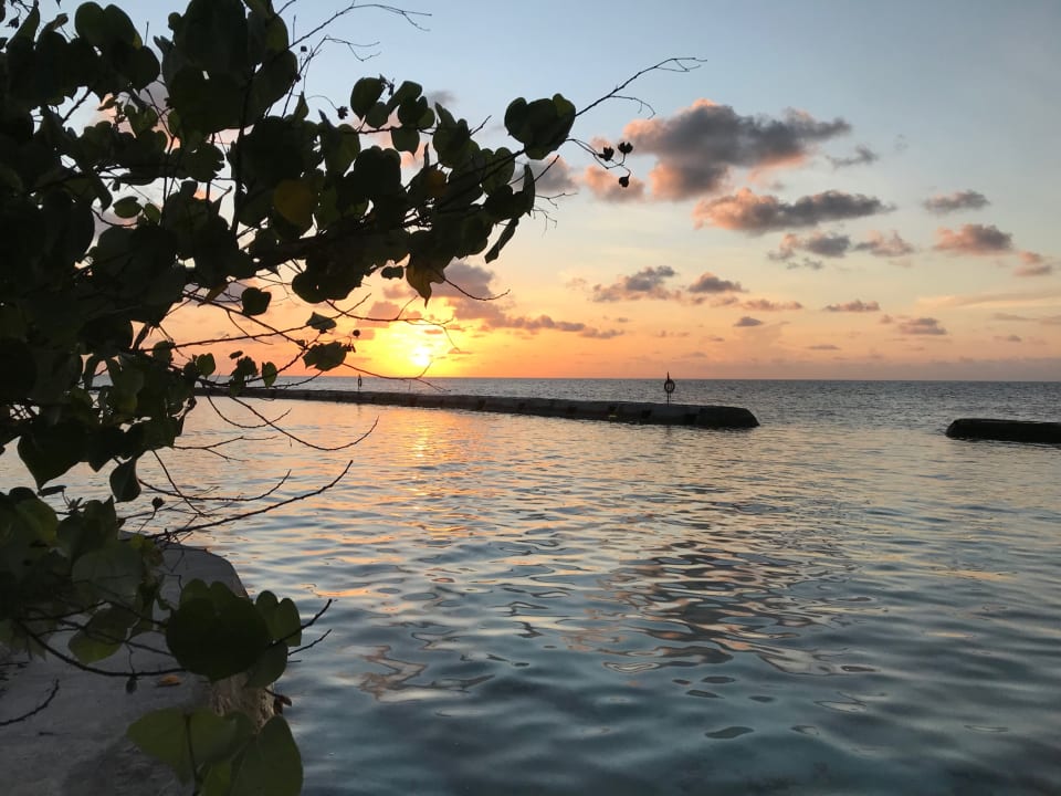 Ausblick Ellaidhoo Maldives by Cinnamon