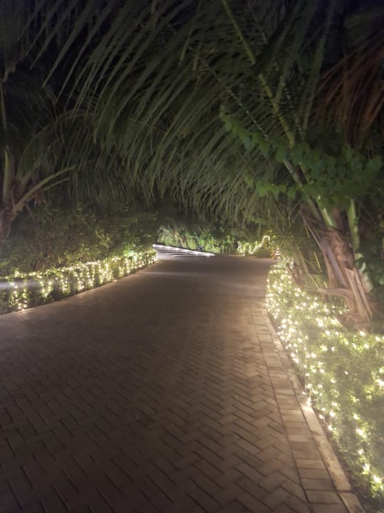 Gartenanlage Hotel Riu Atoll