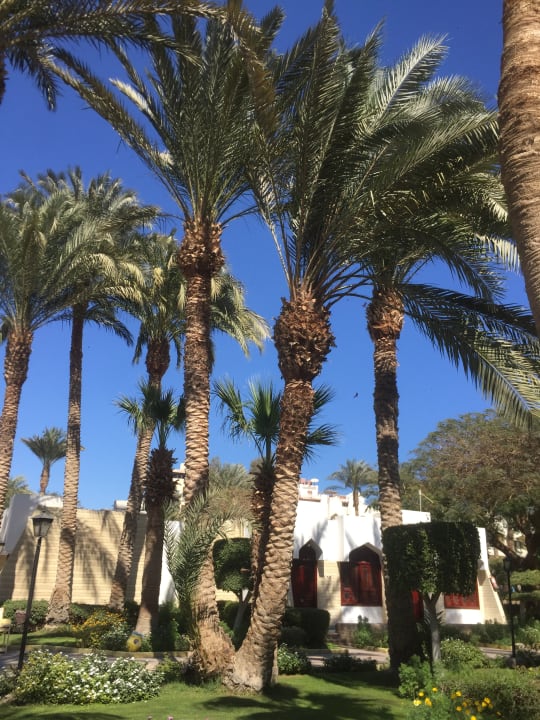 Außenansicht Regina Resort and Aqua Park Hurghada