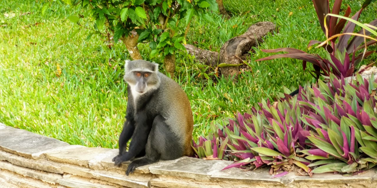 Sonstiges Hotel Pinewood Beach Resort & Spa