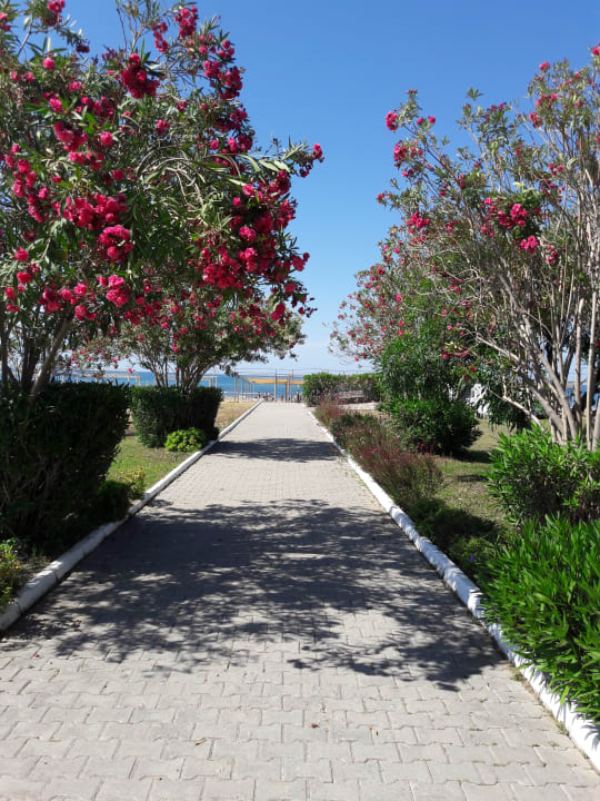 Gartenanlage Glamour Resort & Spa