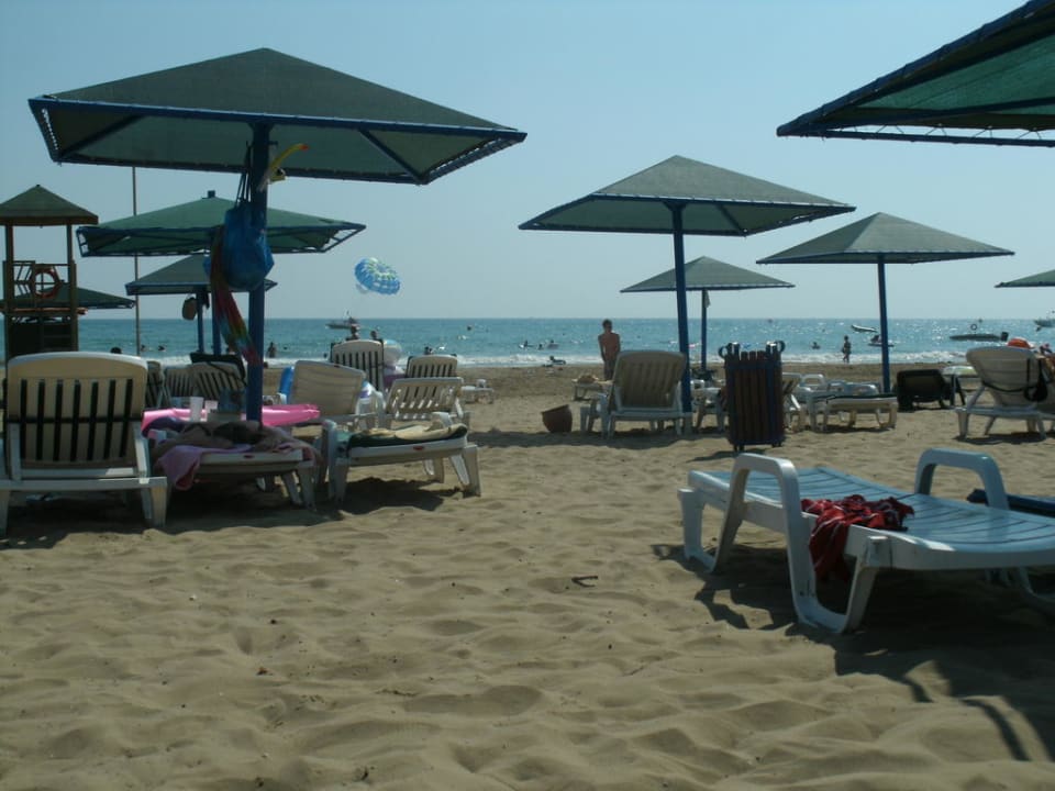 Reichlich Platz zum Nachbarn Paloma Oceana