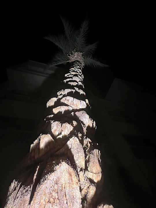 Gartenanlage Jaz Soma Beach