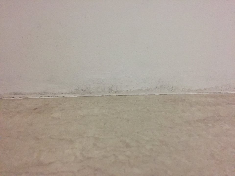 Zimmer Hotel RainTree