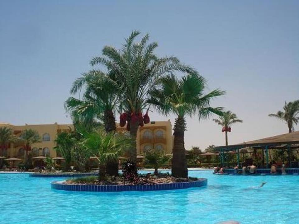 Basen z barem Desert Rose