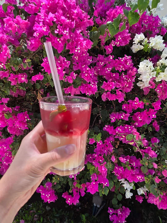 Gartenanlage Jaz Aquaviva