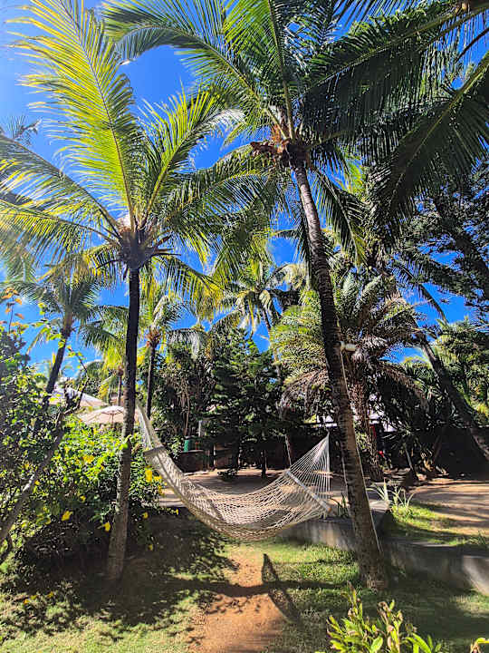 Gartenanlage Friday Attitude