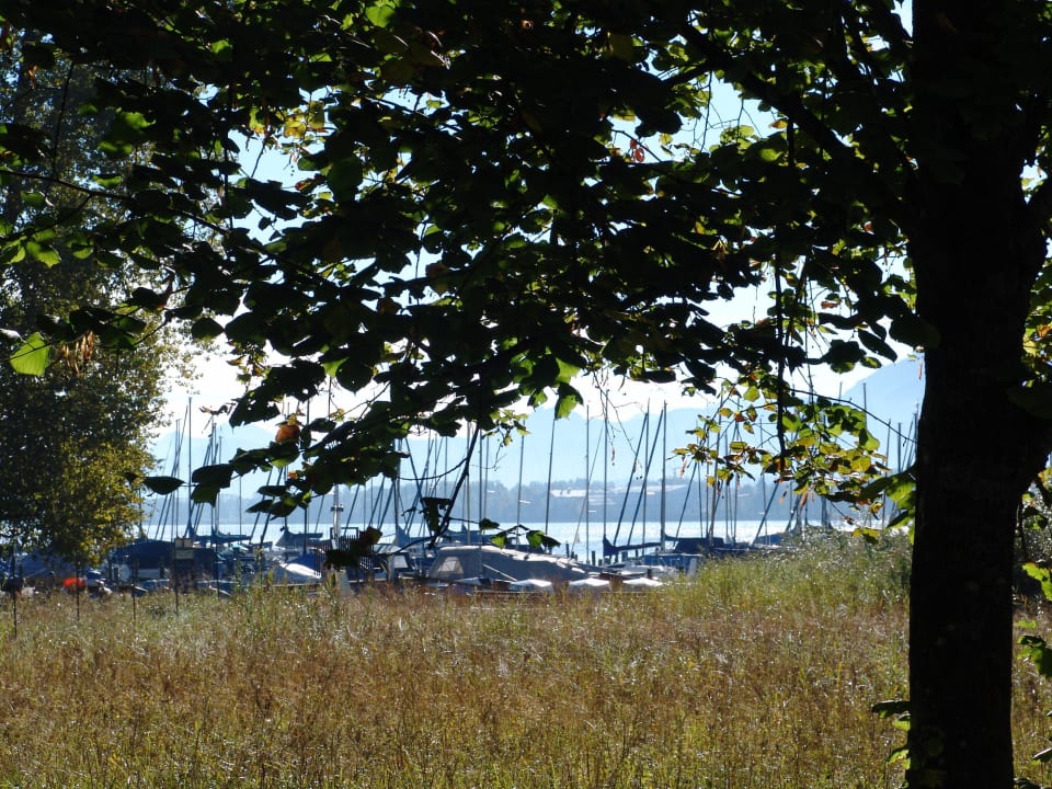 Blick von Terrasse Hotel Zum Fischer am See