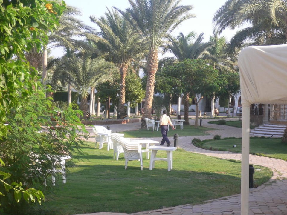 Blick Aladdin Beach Resort