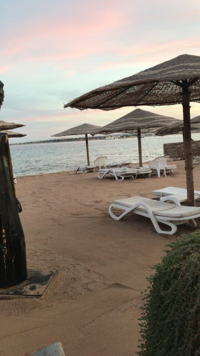 Aussicht zum Strand von der Beach Bar Fort Arabesque Resort, Spa & Villas