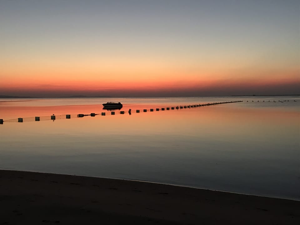Ausblick Pickalbatros White Beach Resort - Hurghada