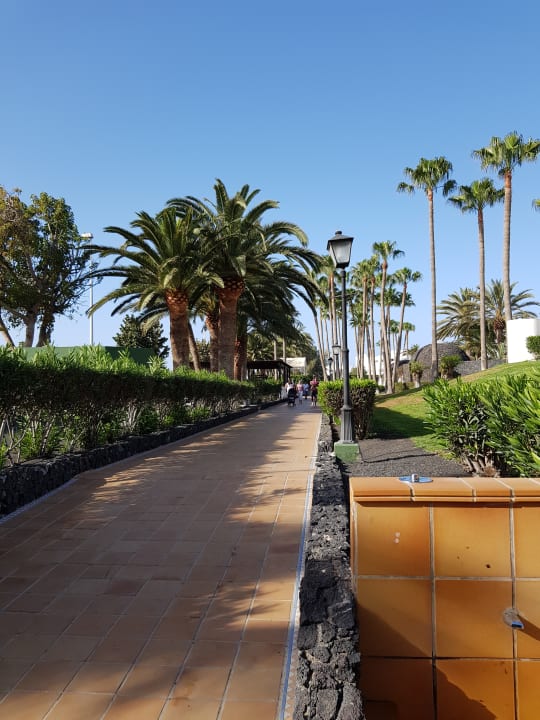 Gartenanlage Hotel Riu Paraiso Lanzarote